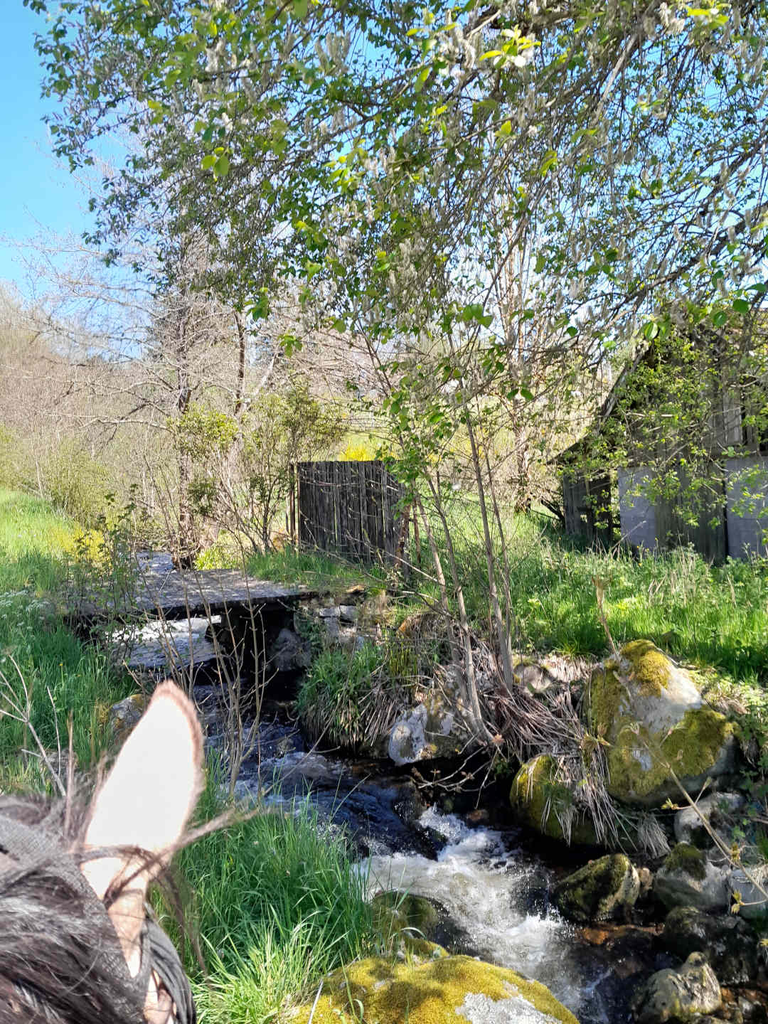 Randonnée cours d'eau