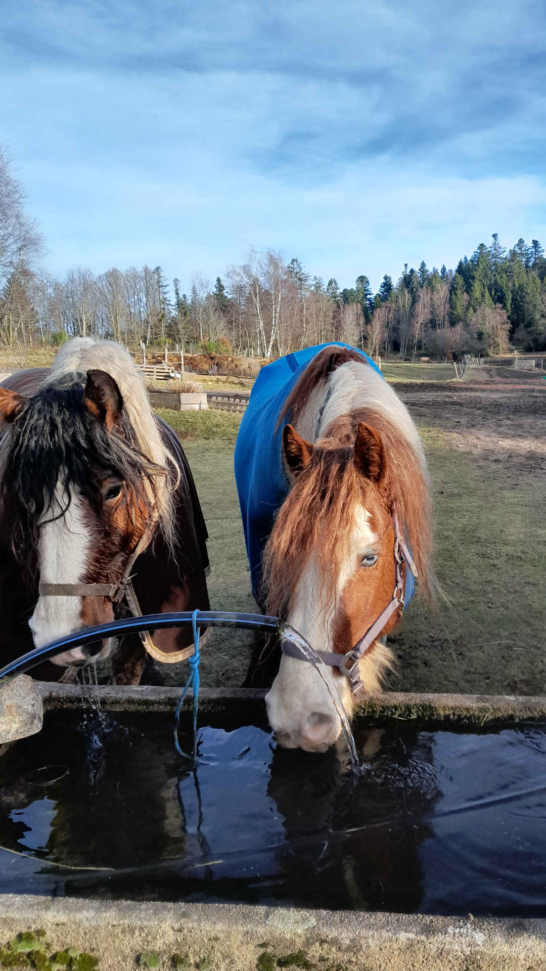 Rendez-vous à la buvette