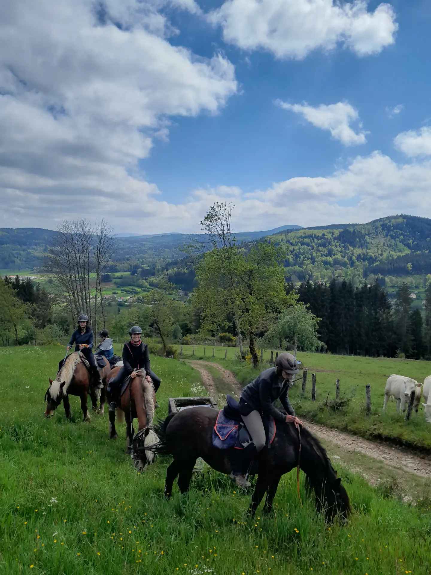Ballade à cheval pour confirmé